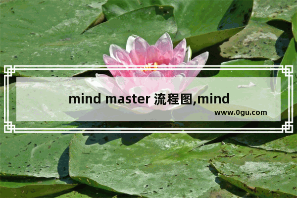 mind master 流程图,mindmaster如何自己绘制图形