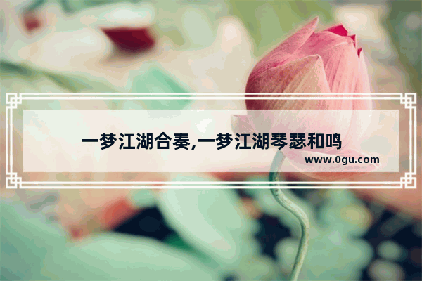 一梦江湖合奏,一梦江湖琴瑟和鸣