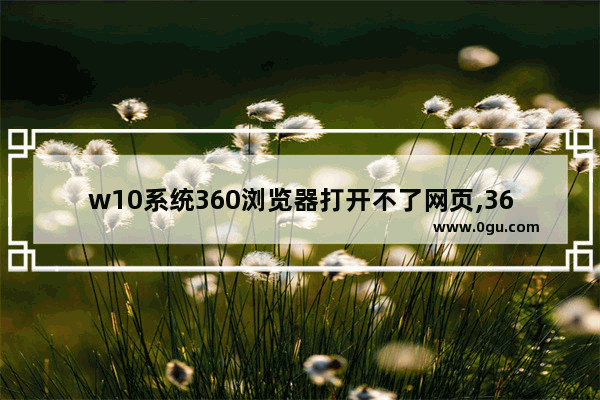 w10系统360浏览器打开不了网页,360电脑浏览器打不开怎么办