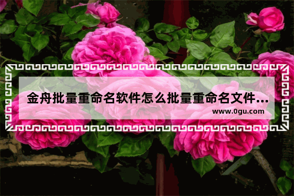 金舟批量重命名软件怎么批量重命名文件 金舟批量重命名软件批量重命名文件方法