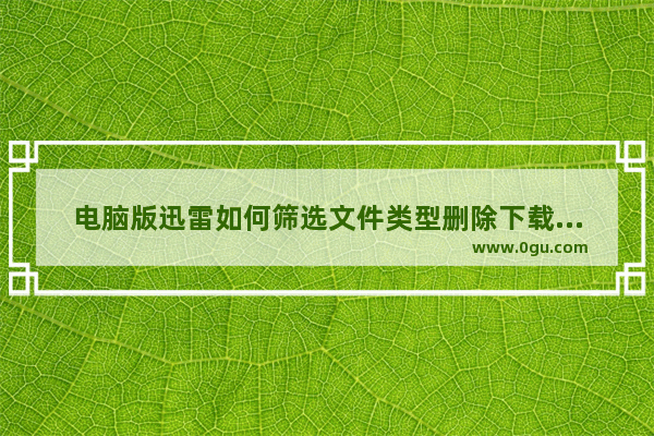 电脑版迅雷如何筛选文件类型删除下载记录 电脑版迅雷筛选文件类型删除下载记录的方法