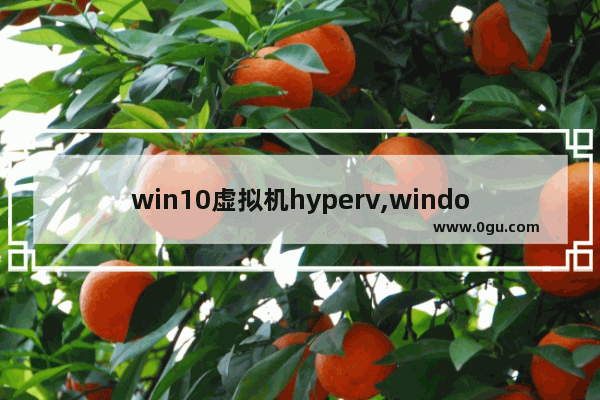 win10虚拟机hyperv,windows10的hyper v