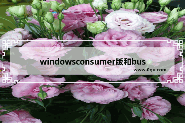 windowsconsumer版和business版,windows10 consumer和business