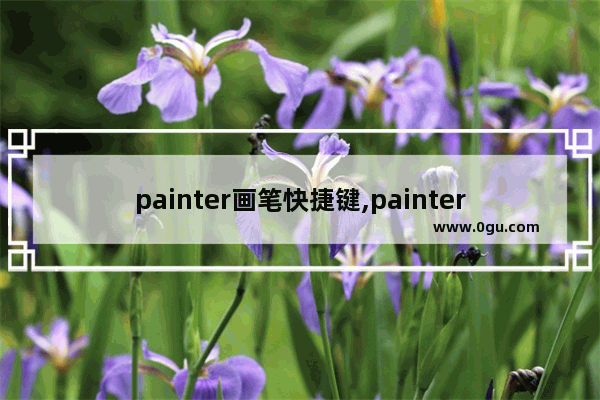 painter画笔快捷键,painter功能介绍