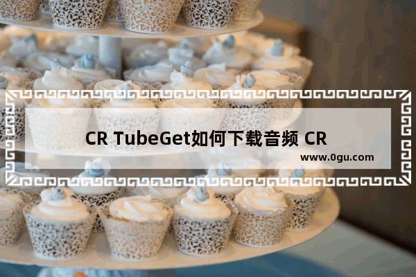 CR TubeGet如何下载音频 CR TubeGet下载音频方法