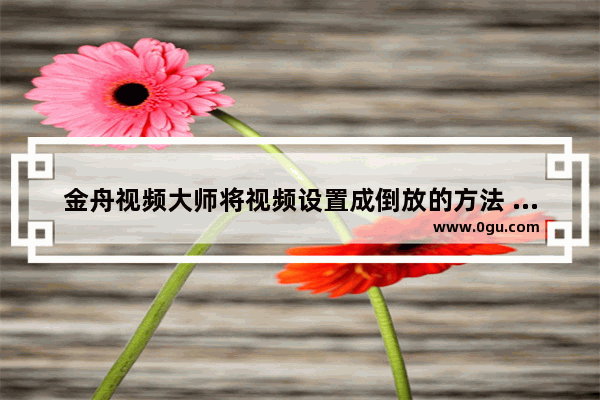 金舟视频大师将视频设置成倒放的方法 金舟视频大师如何设置视频倒放