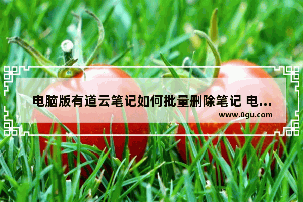 电脑版有道云笔记如何批量删除笔记 电脑版有道云笔记批量删除笔记的方法