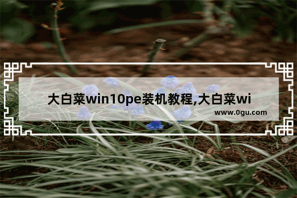 大白菜win10pe装机教程,大白菜winpe怎么装系统