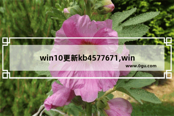 win10更新kb4577671,win10更新kb4601319 1