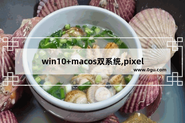 win10+macos双系统,pixelbook win10