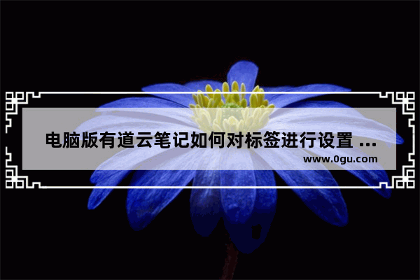 电脑版有道云笔记如何对标签进行设置 电脑版有道云笔记对标签进行设置的方法