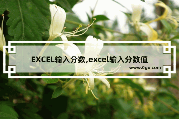 EXCEL输入分数,excel输入分数值