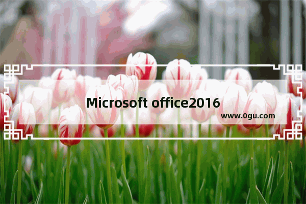 Microsoft office2016下载,microsoft office2016免费下载