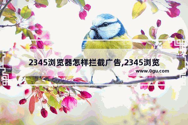 2345浏览器怎样拦截广告,2345浏览器如何设置广告拦截弹窗