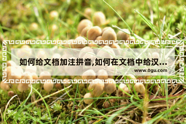 如何给文档加注拼音,如何在文档中给汉字注拼音