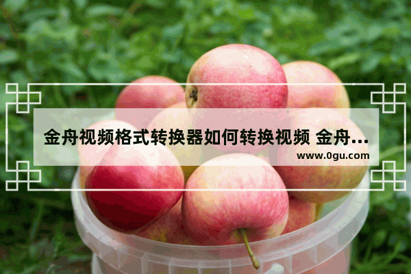 金舟视频格式转换器如何转换视频 金舟视频格式转换器转换视频方法