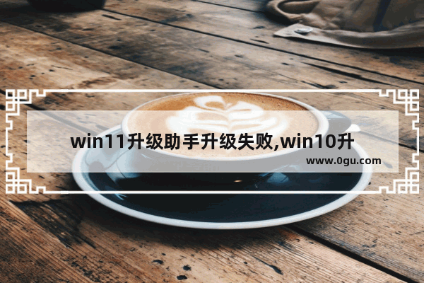 win11升级助手升级失败,win10升级工具错误代码