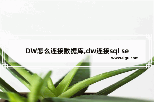 DW怎么连接数据库,dw连接sql server数据库