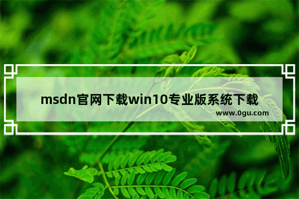 msdn官网下载win10专业版系统下载,微软官网原版win10下载