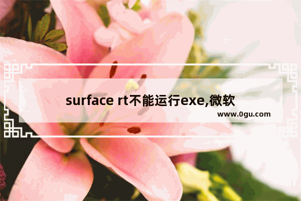 surface rt不能运行exe,微软surface rt应用