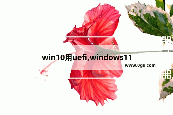 win10用uefi,windows11 uefi