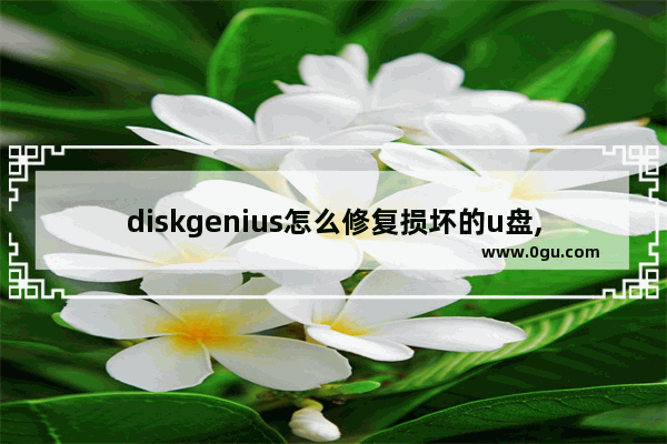 diskgenius怎么修复损坏的u盘,diskgenius怎么修复U盘