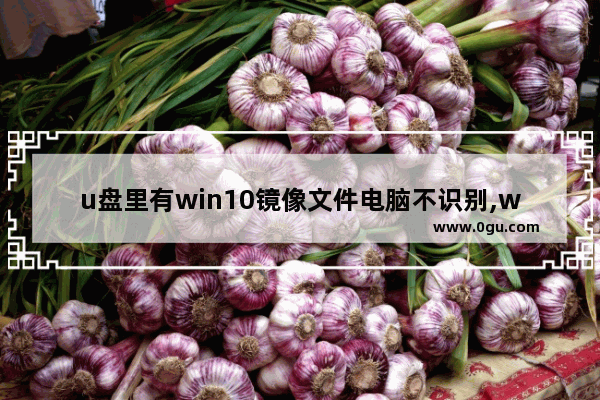 u盘里有win10镜像文件电脑不识别,win10镜像安装教程不用u盘