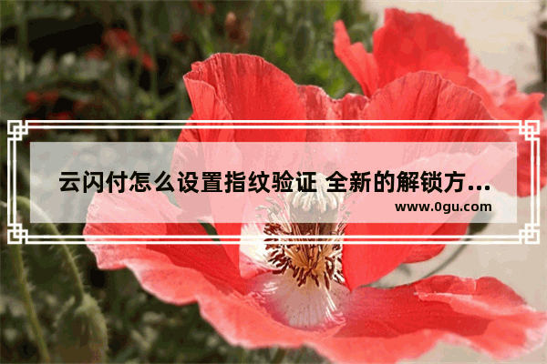 云闪付怎么设置指纹验证 全新的解锁方式呢,云闪付可以设置指纹解锁吗