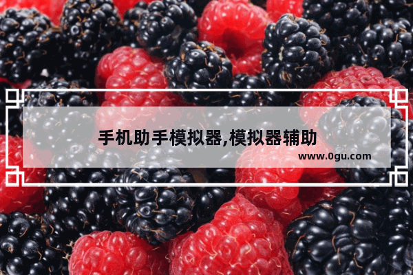 手机助手模拟器,模拟器辅助