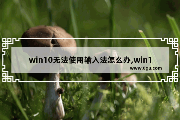 win10无法使用输入法怎么办,win10系统输入法无法使用