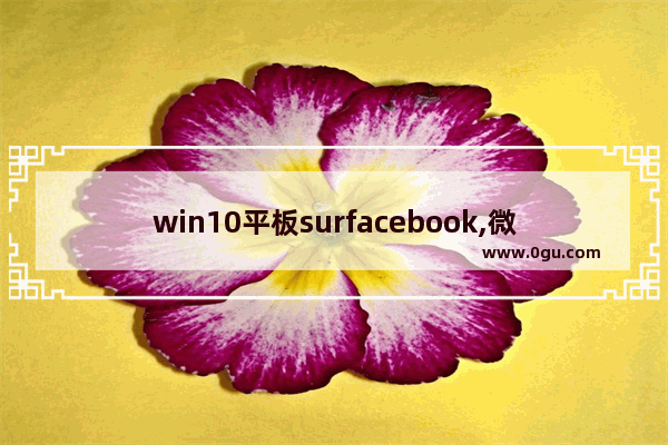 win10平板surfacebook,微软的surface book