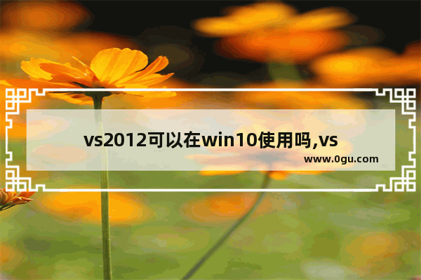 vs2012可以在win10使用吗,vs2008在win10
