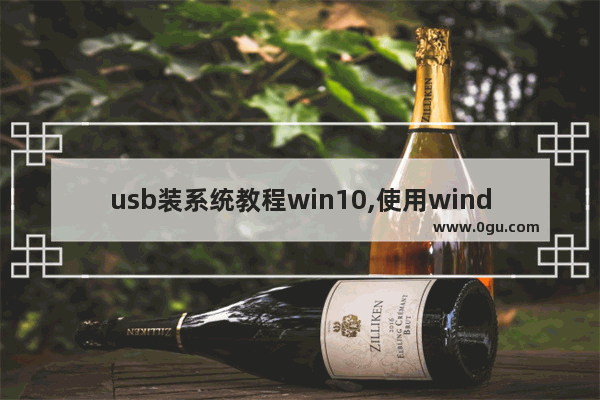 usb装系统教程win10,使用windows帮助和支持系统安装USB