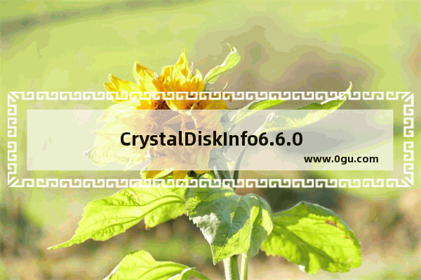 CrystalDiskInfo6.6.0,硬盘检测软件crystal