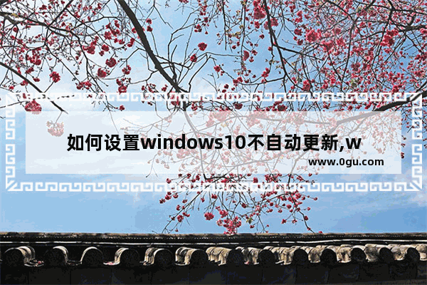 如何设置windows10不自动更新,windows10怎么设置不让它自动更新