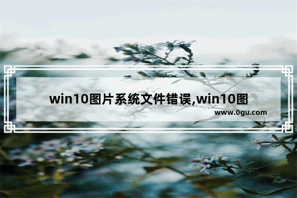 win10图片系统文件错误,win10图片查看器报错