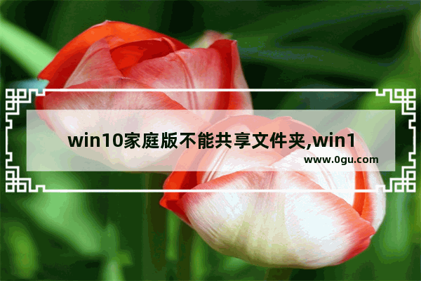 win10家庭版不能共享文件夹,win10家庭版文件共享设置