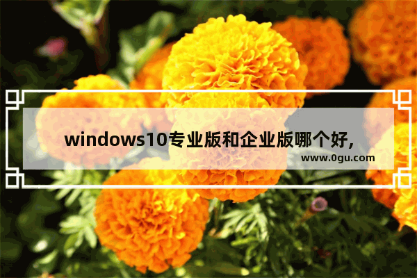 windows10专业版和企业版哪个好,win10企业版和win10专业版的区别