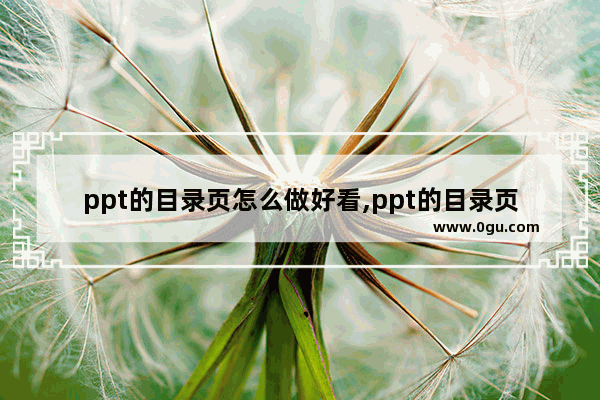 ppt的目录页怎么做好看,ppt的目录页设计包括哪四种类型 