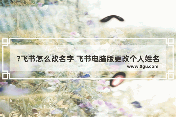 ?飞书怎么改名字 飞书电脑版更改个人姓名的方法教程