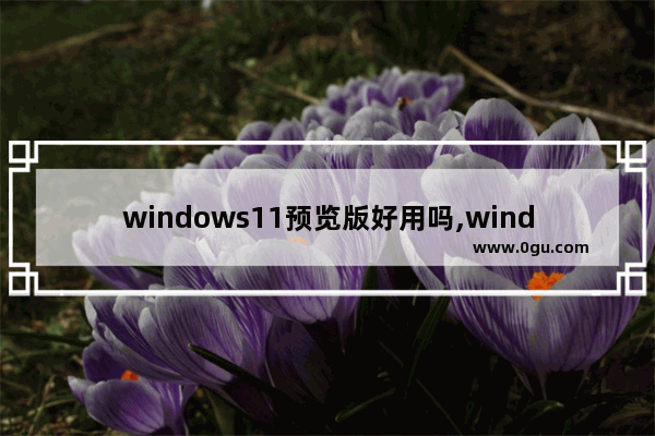 windows11预览版好用吗,windows10预览版和正式版区别