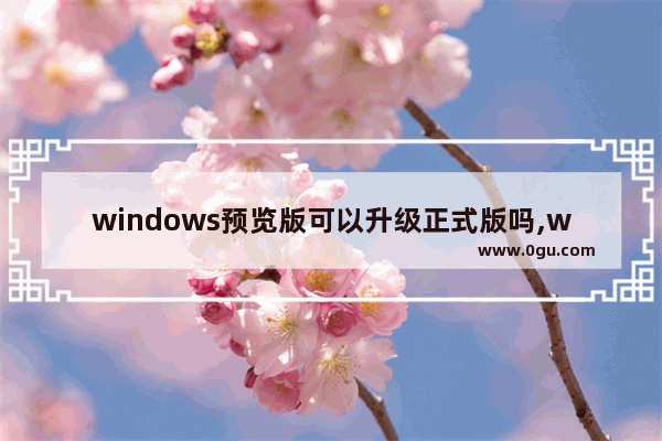 windows预览版可以升级正式版吗,windows10更新预览版
