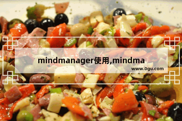 mindmanager使用,mindmanager有用吗