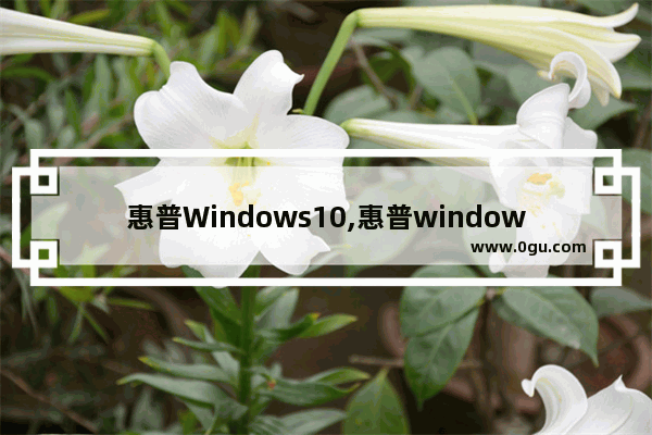 惠普Windows10,惠普windows10家庭版