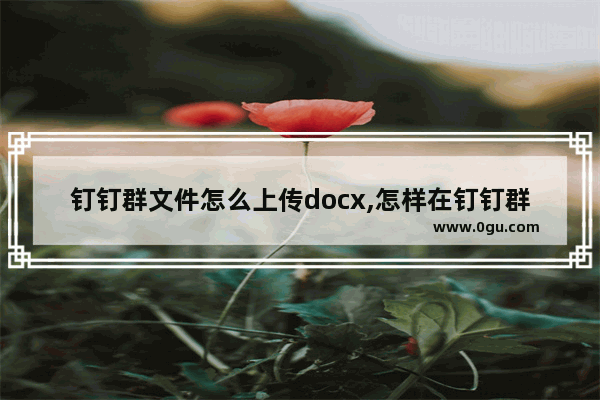 钉钉群文件怎么上传docx,怎样在钉钉群上传文件