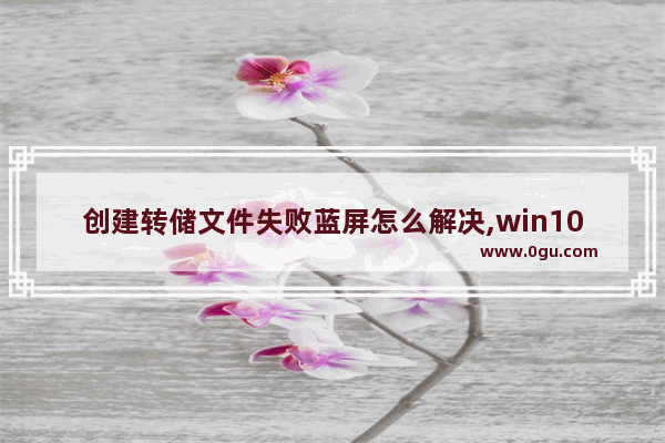 创建转储文件失败蓝屏怎么解决,win10蓝屏保留文件