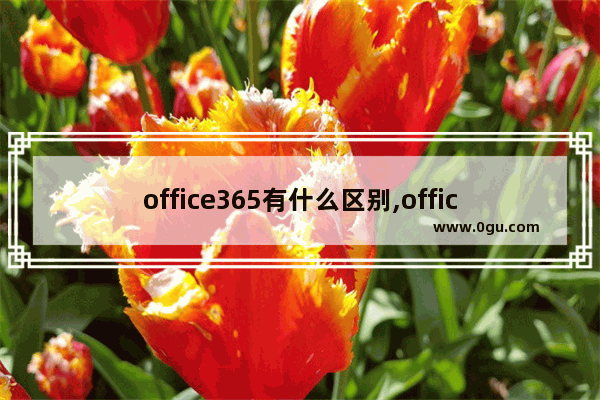 office365有什么区别,office2010和365区别