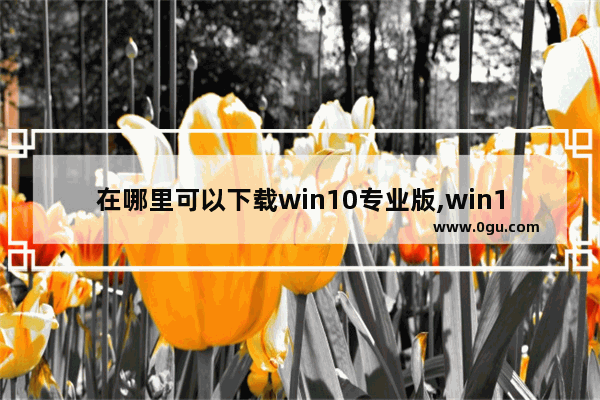 在哪里可以下载win10专业版,win10的官网下载的为什么不能安装专业版