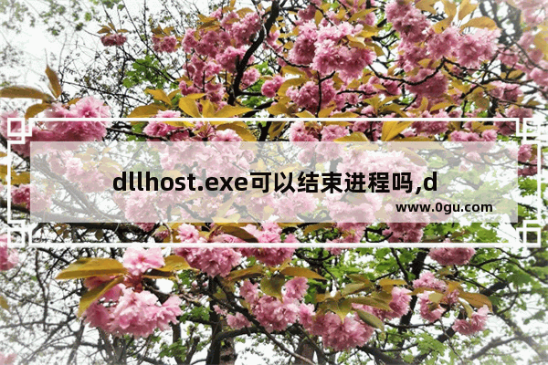dllhost.exe可以结束进程吗,dllhost是什么进程,能结束吗