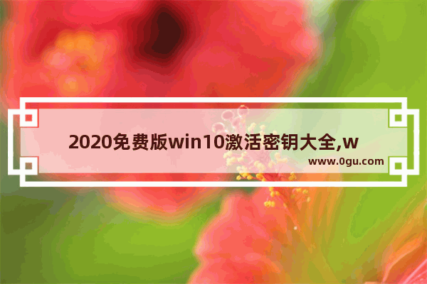2020免费版win10激活密钥大全,windows10专业版激活密钥2019